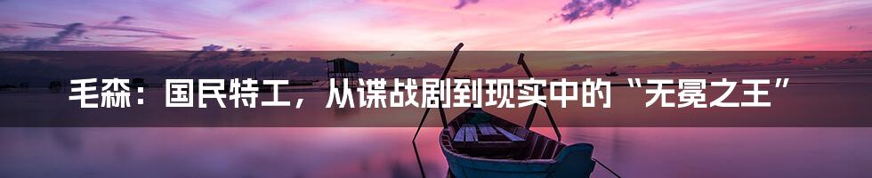毛森：国民特工，从谍战剧到现实中的“无冕之王”