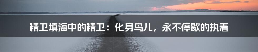 精卫填海中的精卫:化身鸟儿,永不停歇的执着
