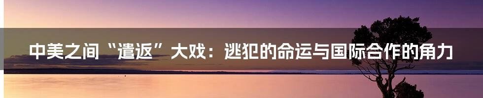 中美之间“遣返”大戏:逃犯的命运与国际合作的角力