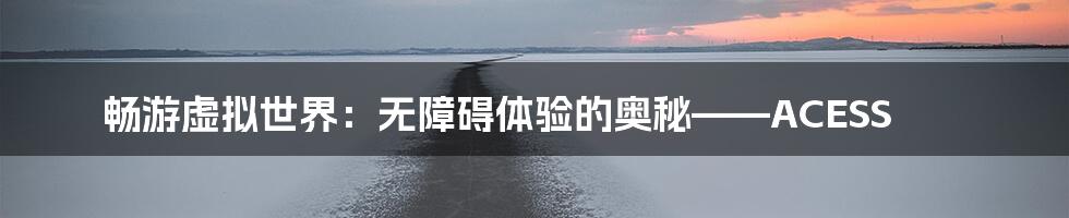 畅游虚拟世界:无障碍体验的奥秘——ACESS