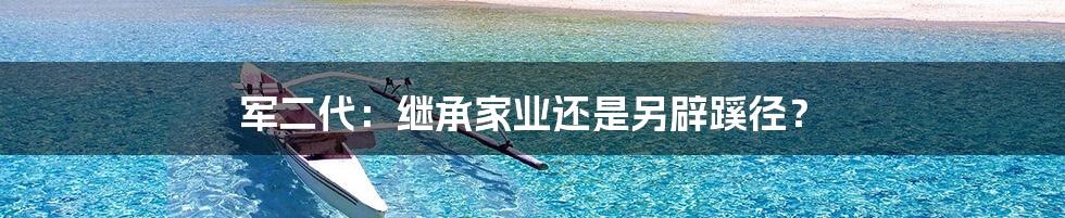 军二代:继承家业还是另辟蹊径?