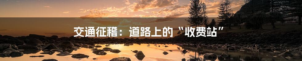 交通征稽:道路上的“收费站”