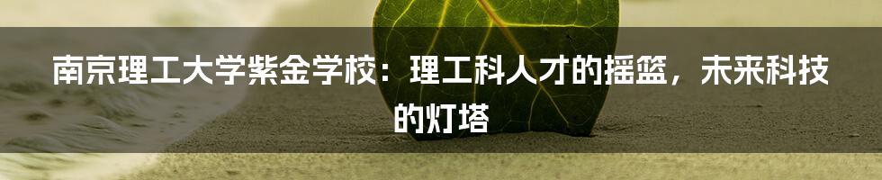南京理工大学紫金学校：理工科人才的摇篮，未来科技的灯塔