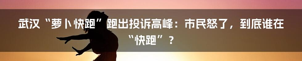 武汉“萝卜快跑”跑出投诉高峰:市民怒了,到底谁在“快跑”?