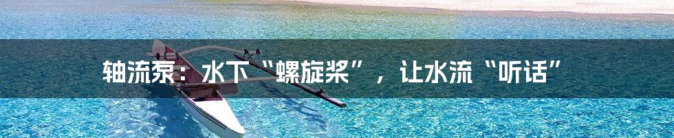 轴流泵:水下“螺旋桨”,让水流“听话”