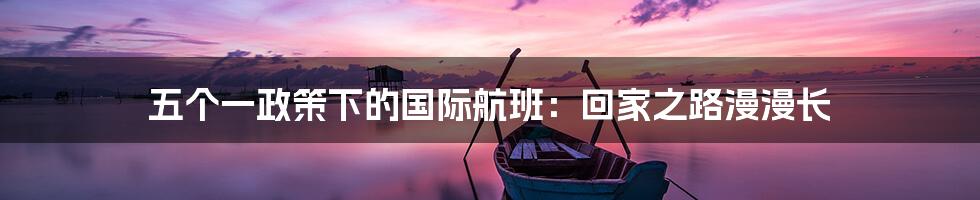 五个一政策下的国际航班:回家之路漫漫长