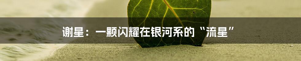 谢星：一颗闪耀在银河系的“流星”