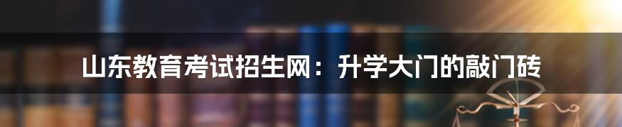 山东教育考试招生网:升学大门的敲门砖