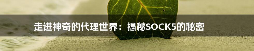 走进神奇的代理世界:揭秘SOCK5的秘密