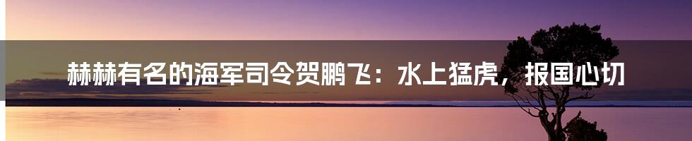 赫赫有名的海军司令贺鹏飞:水上猛虎,报国心切