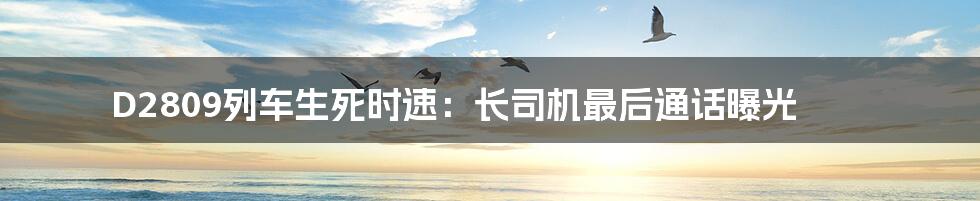 D2809列车生死时速:长司机最后通话曝光