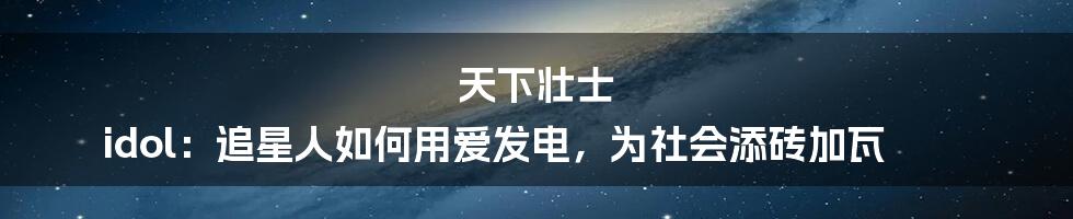 天下壮士 idol:追星人如何用爱发电,为社会添砖加瓦
