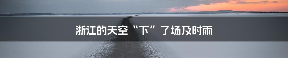 浙江的天空“下”了场及时雨
