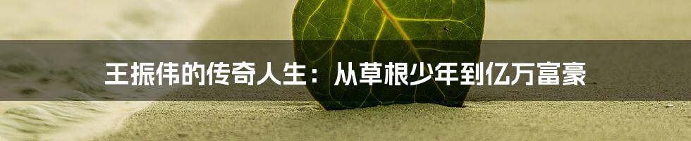 王振伟的传奇人生:从草根少年到亿万富豪