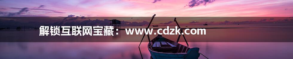 解锁互联网宝藏:www.cdzk.com