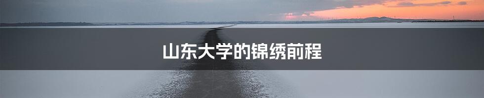 山东大学的锦绣前程
