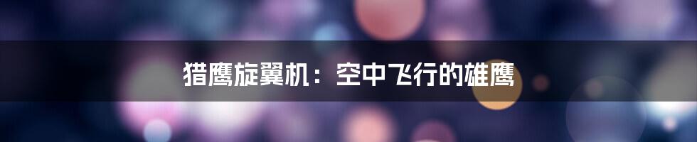 猎鹰旋翼机:空中飞行的雄鹰
