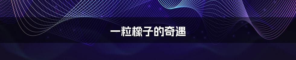 一粒橡子的奇遇