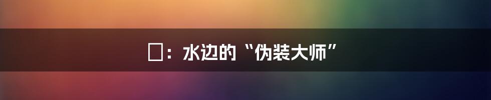 鳽:水边的“伪装大师”
