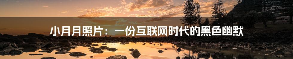 小月月照片:一份互联网时代的黑色幽默
