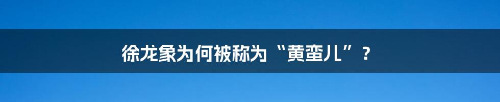 徐龙象为何被称为“黄蛮儿”?