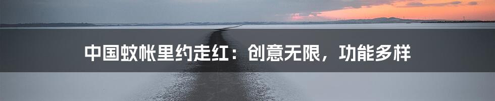 中国蚊帐里约走红:创意无限,功能多样
