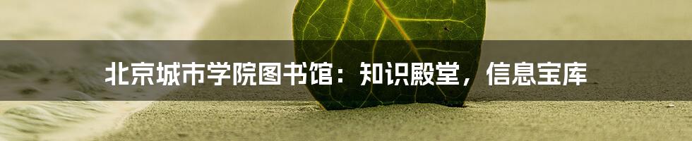 北京城市学院图书馆:知识殿堂,信息宝库