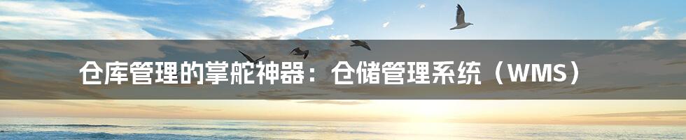 仓库管理的掌舵神器:仓储管理系统(WMS)