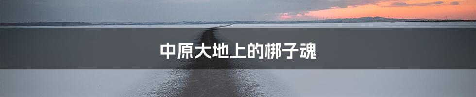 中原大地上的梆子魂