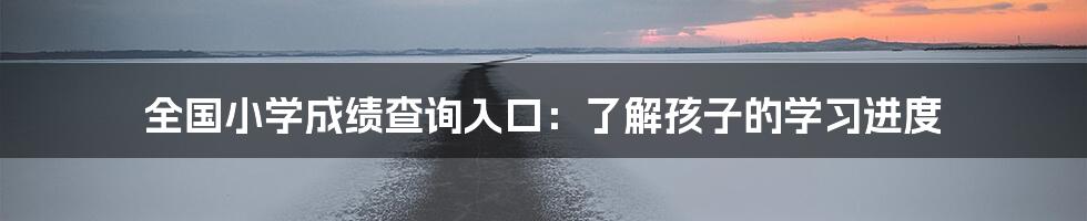 全国小学成绩查询入口:了解孩子的学习进度