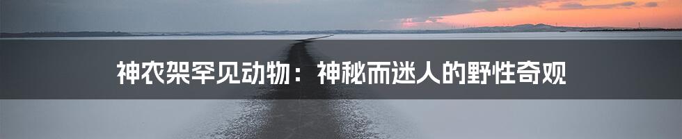 神农架罕见动物:神秘而迷人的野性奇观
