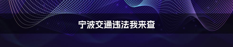 宁波交通违法我来查