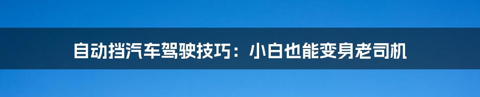 自动挡汽车驾驶技巧:小白也能变身老司机