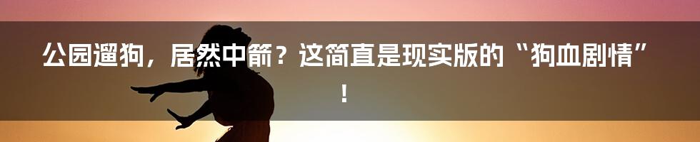 公园遛狗,居然中箭?这简直是现实版的“狗血剧情”!