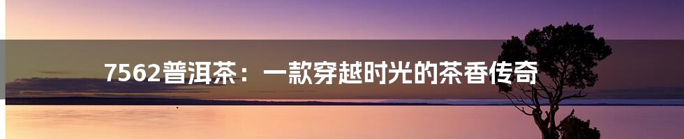 7562普洱茶:一款穿越时光的茶香传奇