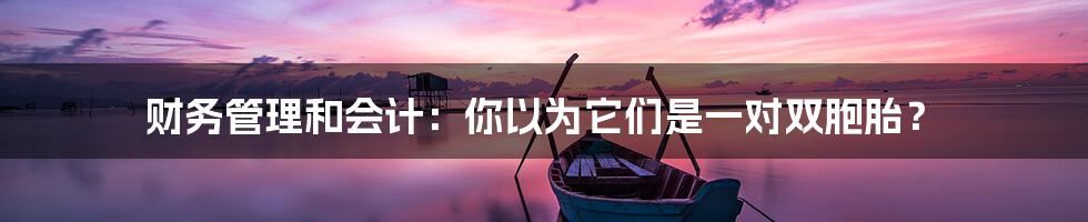 财务管理和会计:你以为它们是一对双胞胎?