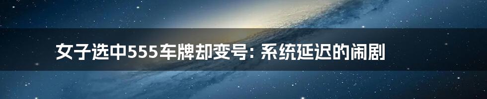 女子选中555车牌却变号: 系统延迟的闹剧