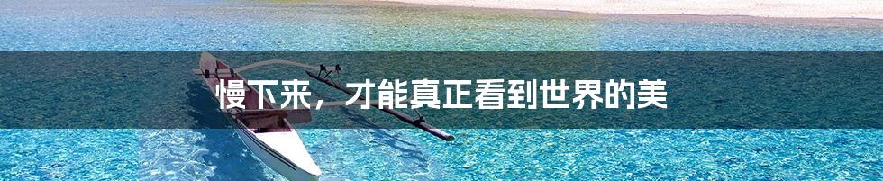 慢下来，才能真正看到世界的美