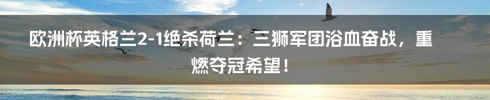 欧洲杯英格兰2-1绝杀荷兰:三狮军团浴血奋战,重燃夺冠希望!