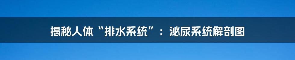 揭秘人体“排水系统”:泌尿系统解剖图