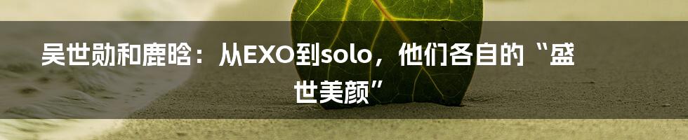 吴世勋和鹿晗:从EXO到solo,他们各自的“盛世美颜”
