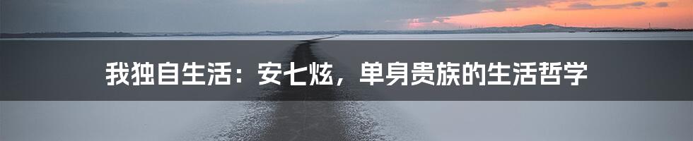 我独自生活:安七炫,单身贵族的生活哲学