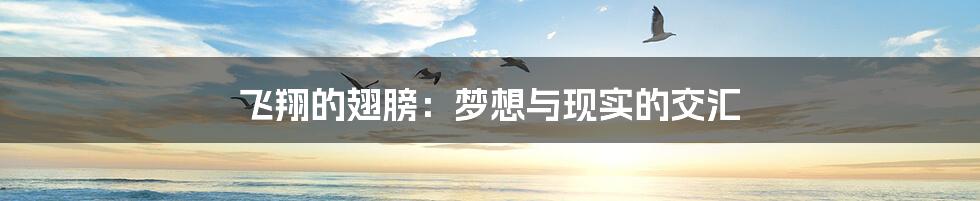 飞翔的翅膀:梦想与现实的交汇