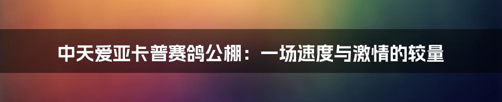 中天爱亚卡普赛鸽公棚:一场速度与激情的较量