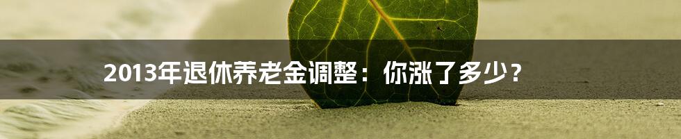 2013年退休养老金调整:你涨了多少?