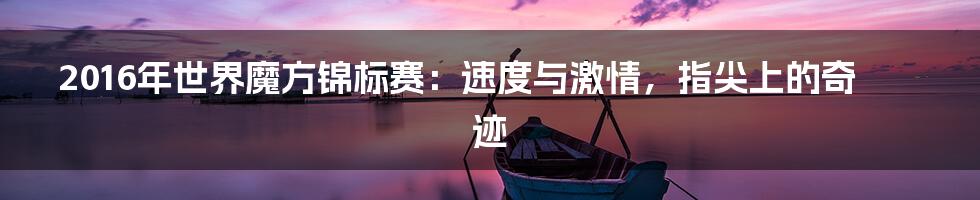 2016年世界魔方锦标赛:速度与激情,指尖上的奇迹