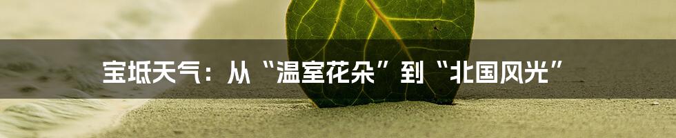 宝坻天气:从“温室花朵”到“北国风光”