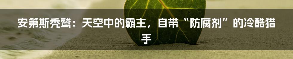 安第斯秃鹫:天空中的霸主,自带“防腐剂”的冷酷猎手