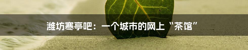 潍坊寒亭吧：一个城市的网上“茶馆”