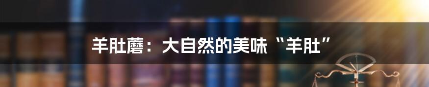 羊肚蘑:大自然的美味“羊肚”